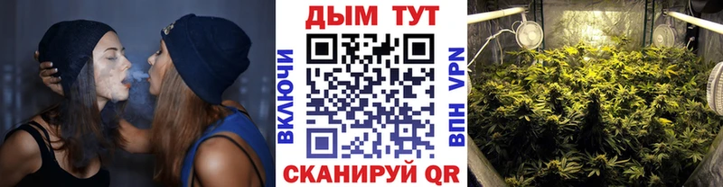Купить закладки  Балаково  Бошки Шишки план 